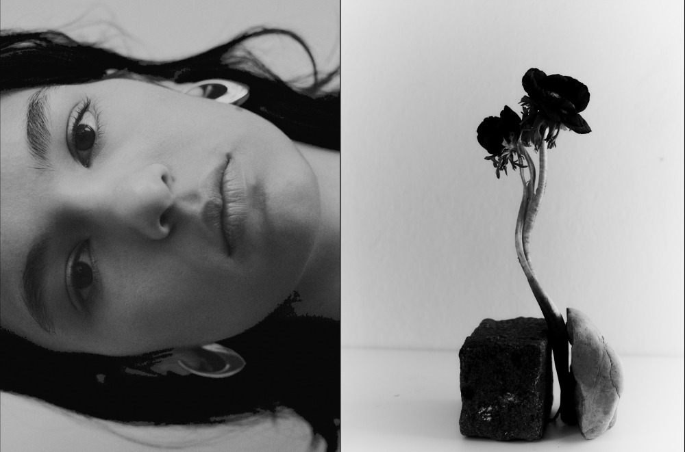  Linda Leitner Photography